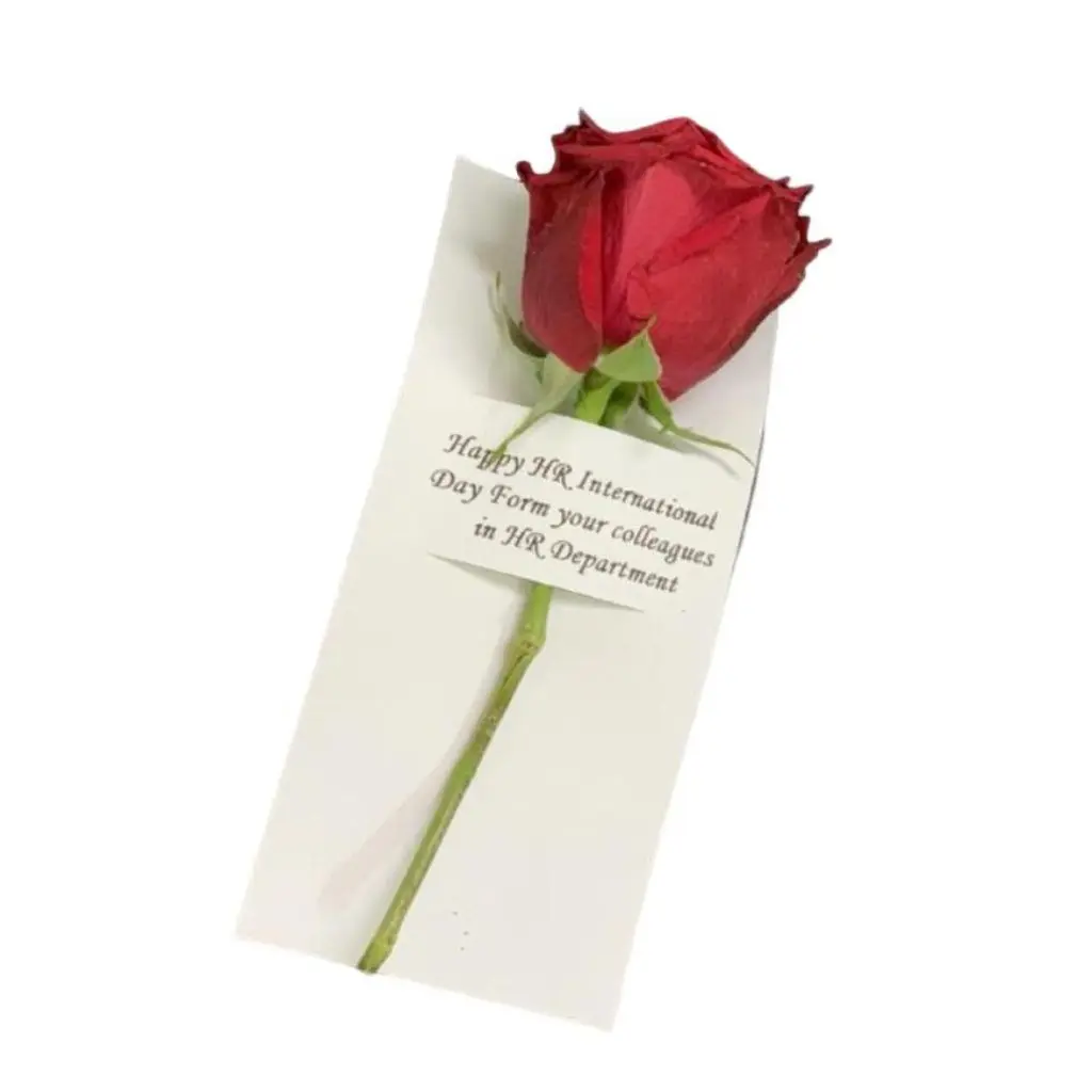 Rose Letter